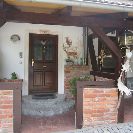 Landsauna - Pension Zittau Esterno foto